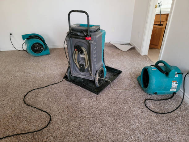 Best Ceiling water damage repair  in Inwood, FL