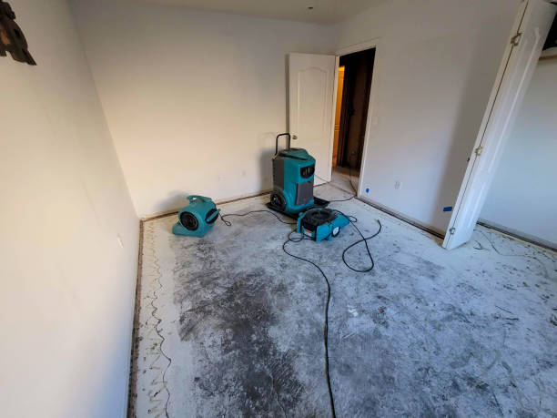 Best Water damage restoration near me  in Inwood, FL