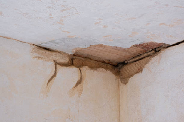 Best Flooded house restoration  in Inwood, FL
