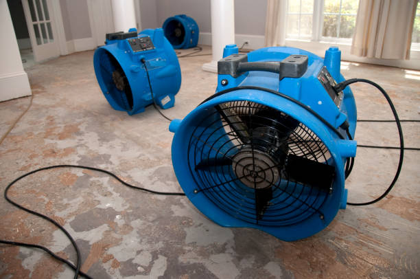 Best Flood restoration services  in Inwood, FL