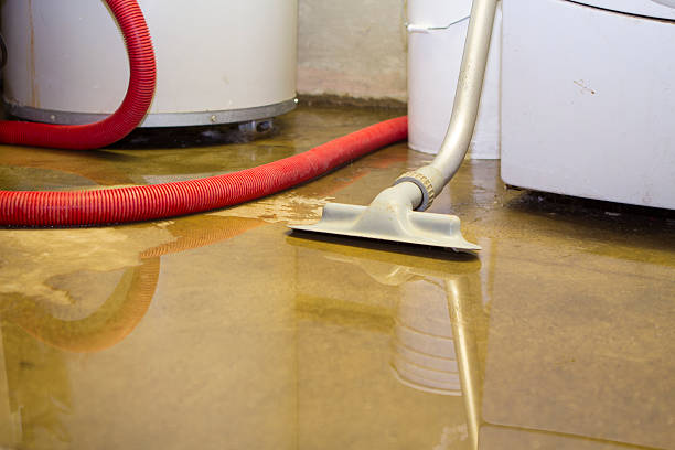 Best 24-hour water damage restoration  in Inwood, FL